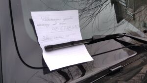 Здичавіння територій та стихійне озеленення в Кам’янському - ФОТО
