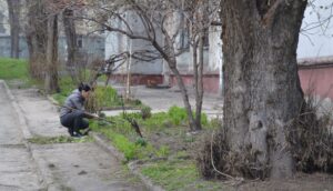 Здичавіння територій та стихійне озеленення в Кам’янському - ФОТО