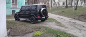 Здичавіння територій та стихійне озеленення в Кам’янському - ФОТО