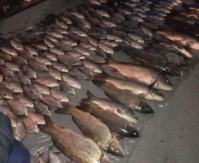 Під Кам’янським затримали браконьєрів