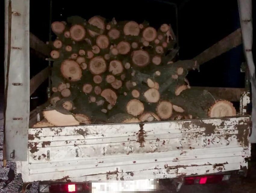 На Дніпропетровщині поліцейські завадили незаконній вирубці дубу