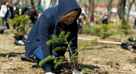 Один мільйон дерев за добу: Дніпропетровщина приєднається до екологічої акції