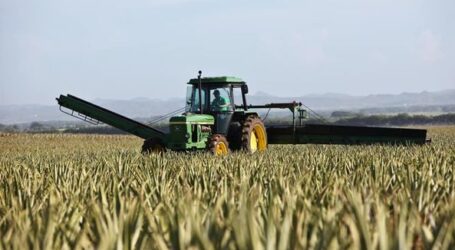 Дніпропетровщина очолила всеукраїнський рейтинг виробників сільського господарства