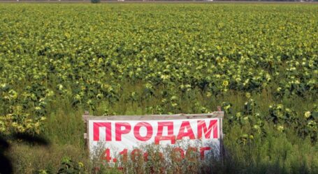 В Кам’янському районі державні землі передадуть громадам