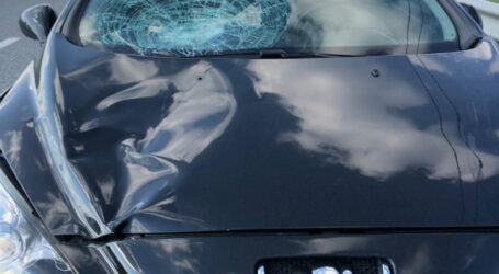 На Дніпропетровщині водійка на пішохідному переході збила двох дітей