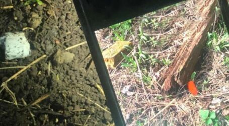 На Дніпропетровщині підліток попався на збуті наркотиків