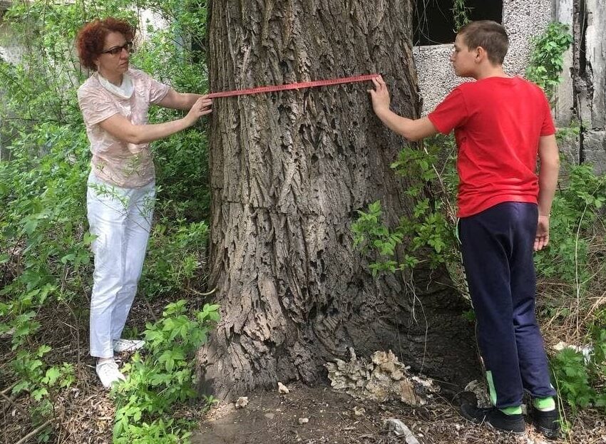 За збереження старих дерев виступають юні екологи в Кам’янському