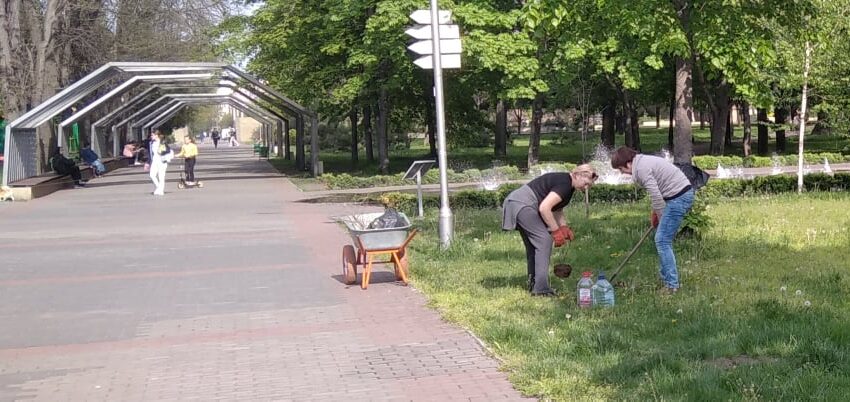 Деякі уроки озеленення в Кам’янському