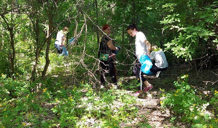 Екотолоку в Кам’янському організувала молодь
