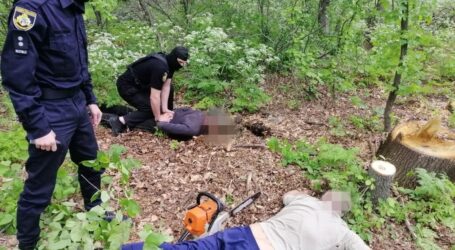 На Дніпропетровщині викрили злочинну групу, яка незаконно рубала ліс