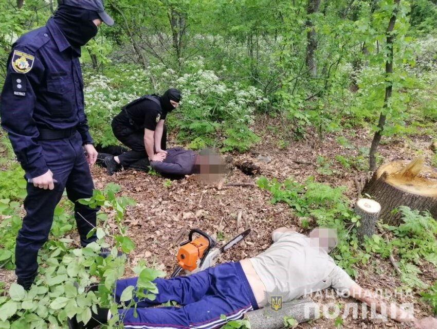 На Дніпропетровщині викрили злочинну групу, яка незаконно рубала ліс