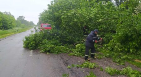Надзвичайники області ліквідували наслідки стихії