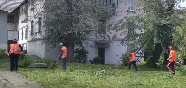 Брак рослинності та знищені газони – загальна проблема міст України - ФОТО