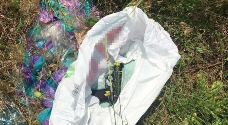 На Дніпропетровщині конфлікт між чоловіками закінчився стріляниною