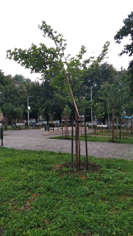 Злива в Кам’янському: ранок минув без надзвичайних подій - ФОТО