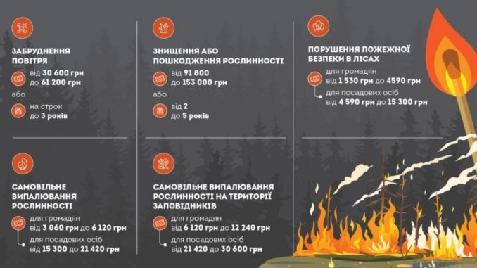Цьогоріч на Дніпропетровщині вигоріло понад 16 гектарів лісу - ФОТО