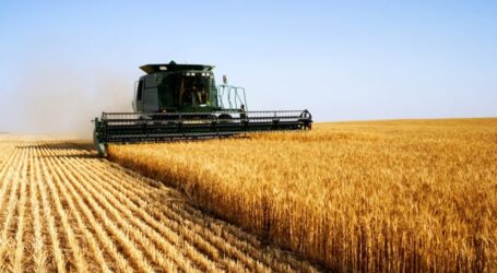 Аграрії Дніпропетровщини вже зібрали майже 75% ранніх зернових