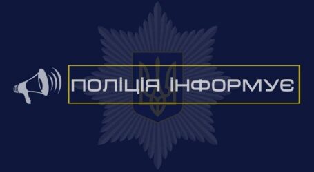У Кам’янському юнак, який вбив кошеняту, понесе кримінальну відповідальність