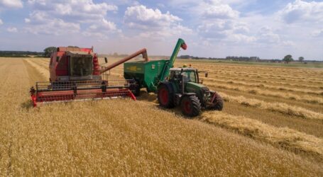 Аграрії Дніпропетровщини завершили жнива