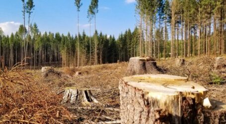 В Україні збільшать штрафи за екологічні злочини