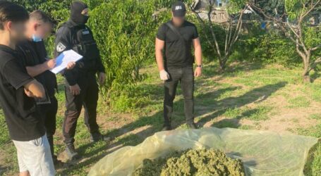 На Дніпропетровщині затримали наркоугруповання