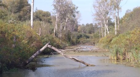 Воду в Україні хочуть віддати приватним водокористувачам
