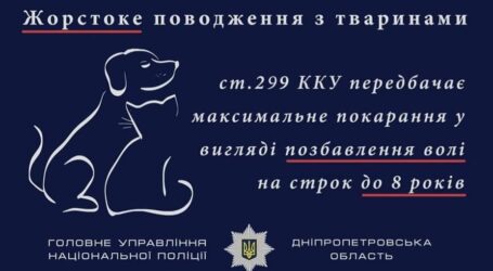 У Кам’янському чоловік понесе кримінальну відповідальність за те, що викинув цуценя з балкону