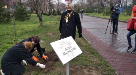 Другу спробу закласти в Кам’янському алею екзотичних рослин зробили бібліотекарі