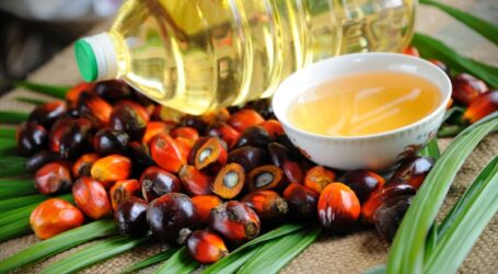 В Украине хотят запретить использование пальмового масла в продуктах