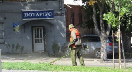 Як природа виправляє помилки догляду за газонами в Кам’янському