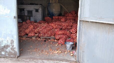 Ціни на овочі будуть високі, особливо взимку, прогнозують фермери Дінпропетровщини