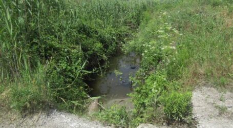 Меліосистему Кам’янського міськрада передасть КП «Екосервіс»