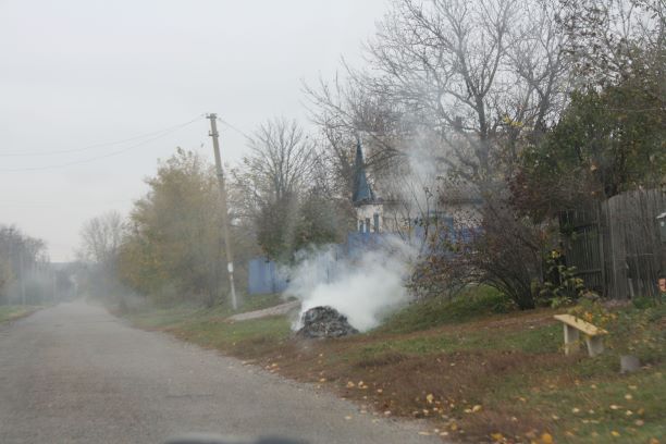 Рятувальники та посадовці в Кам’янському почнуть штрафувати за спалювання листя