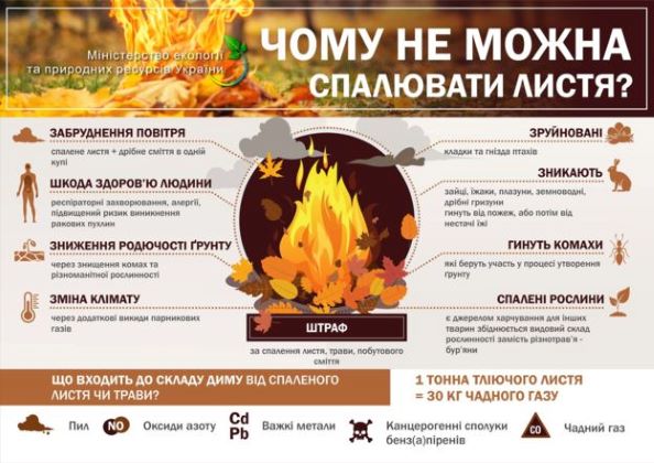 Рятувальники та посадовці в Кам’янському почнуть штрафувати за спалювання листя - ФОТО