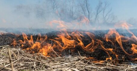 Пожежникам можуть дозволити штрафувати порушників за спалювання трави