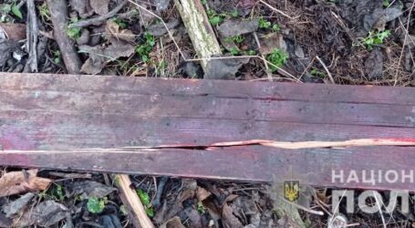 На Дніпропетровщині двоє молодиків забили жінку до смерті