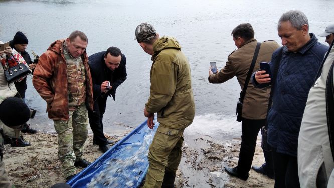 Зариблення каналу відбулось в лівобережному парку Кам’янського