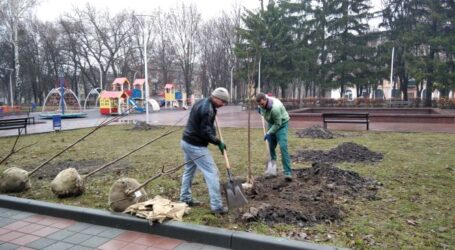 Озеленення за проектом «бюджету участі» в Південному районі  Кам’янського