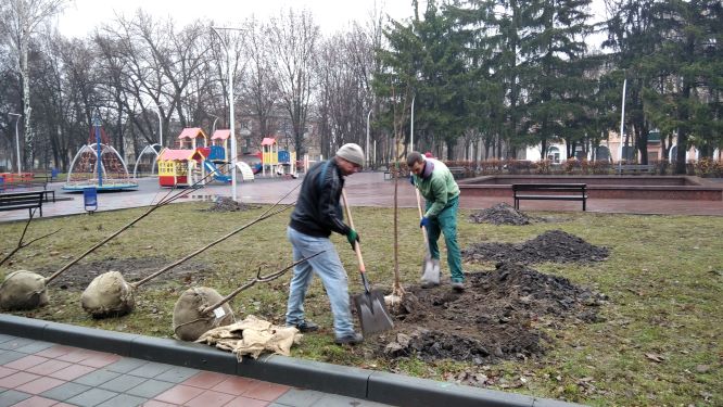 Озеленення за проектом «бюджету участі» в Південному районі  Кам’янського