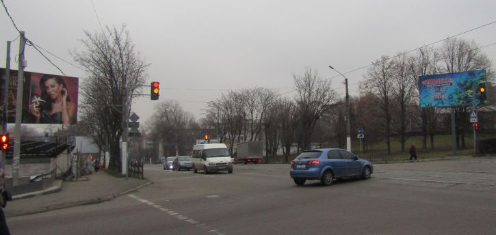 В Кам’янському описують зелені насадження на перехресті Шевченко-Аношкіна