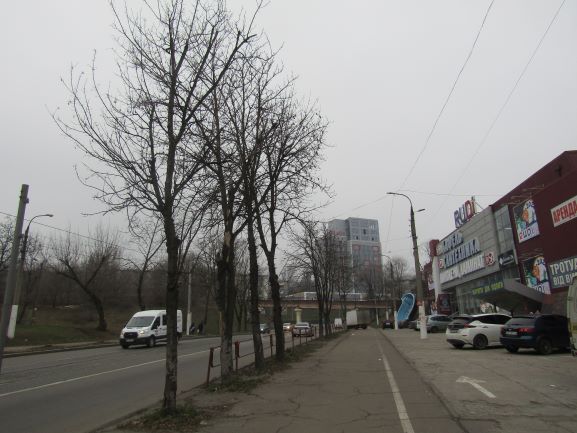 В Кам’янському описують зелені насадження на перехресті Шевченко-Аношкіна - ФОТО