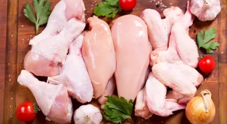 На Дніпропетровщині збільшилося виробництво рибної продукції та м’яса