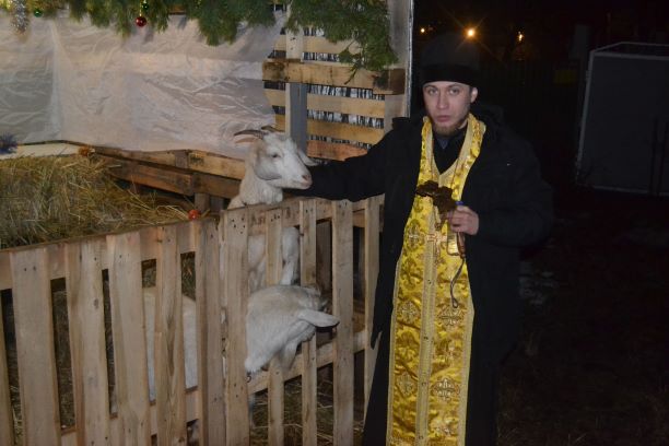 Вертеп з живими тваринами влаштував мешканець Кам’янського «для різдвяного настрою» - ФОТО