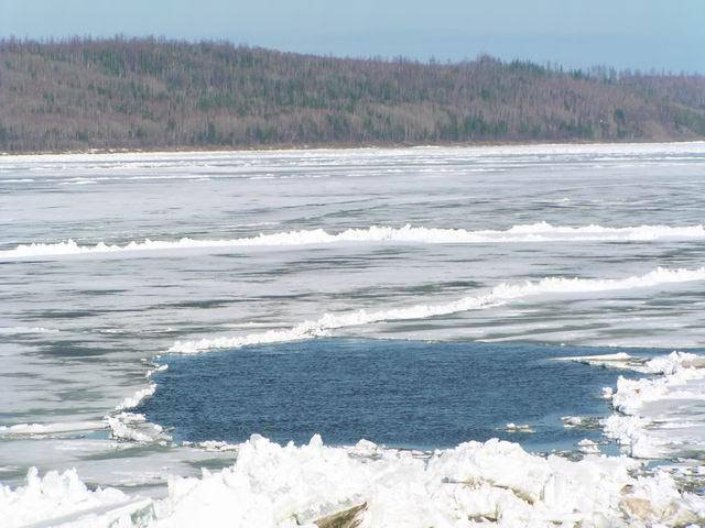 Цьогоріч на водоймах Дніпропетровщини сталося 8 нещасних випадків