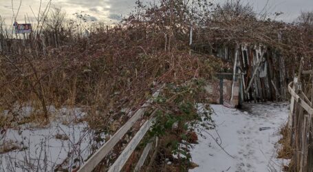 Залишки «продовольчої програми 90-х» на околиці Кам’янського
