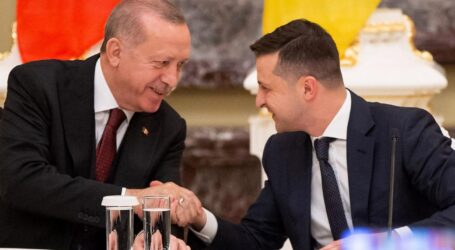 Україна починає вільно торгувати з Туреччиною: чого чекати українському бізнесу?