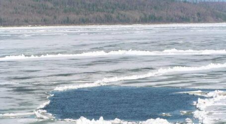 Цьогоріч на водоймах Дніпропетровщини сталося 8 нещасних випадків