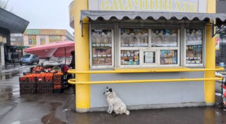 Песимізм українських бізнесменів розділяють їх колеги в Кам’янському
