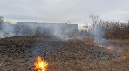 Біля лівобережного житломасиву Кам’янського підпалили сухостій (відео)