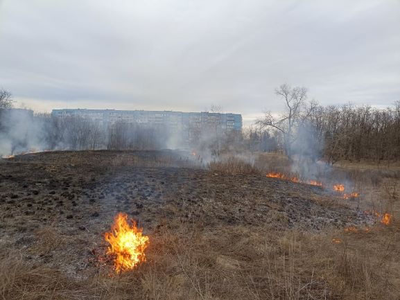 Біля лівобережного житломасиву Кам’янського підпалили сухостій (відео)